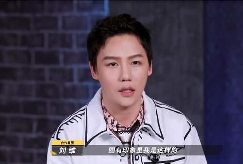 丁太|丁太昇嘲讽刘维综艺混子 李佳航犀利反击 乐评人遭全网嘲讽
