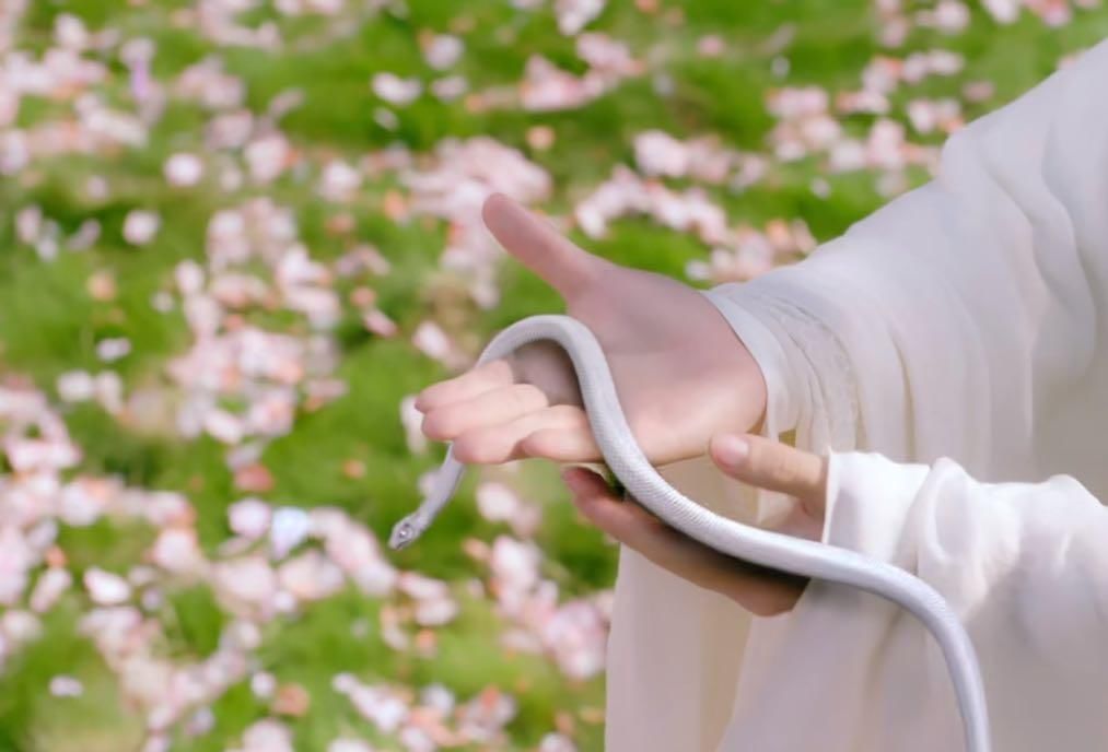  滤镜|《琉璃》并不非独家播出，无滤镜，张予曦颜值不稳定，特效太假