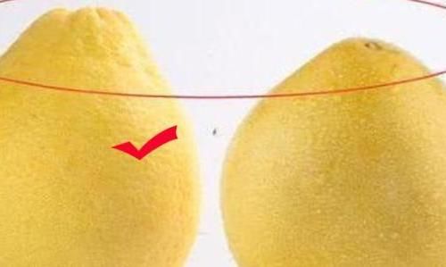水分|买柚子,选尖的还是圆的?老果农:学会这1招,柚子很甜水分很多