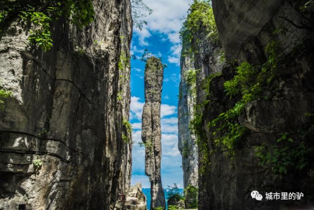  长白山|三伏暑热天，让我带你去这些只有25°的地方纳凉吧！