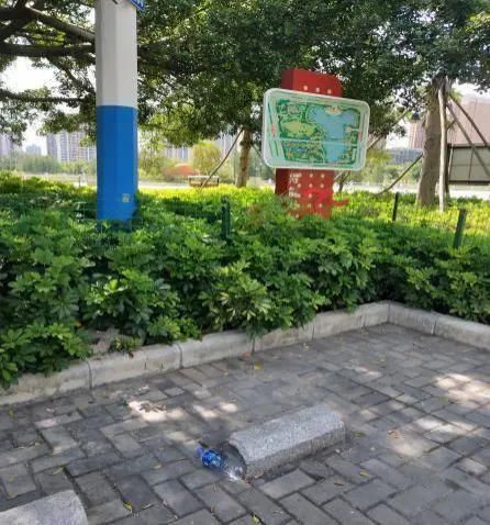 理应|【创文进行时】不回避,不遮丑!这些不文明现象理应整改