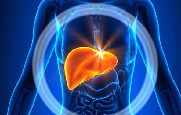 代谢|想知道自己的肝好不好只需“竖起中指”,看看就能知道了