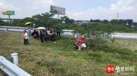  蒸笼|高速上抛锚客车成蒸笼，交警安排母婴上警车凉快