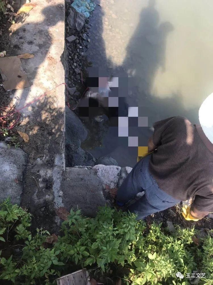  游泳|痛心！18岁男孩到榕江游泳不慎溺亡，尸体已打捞到