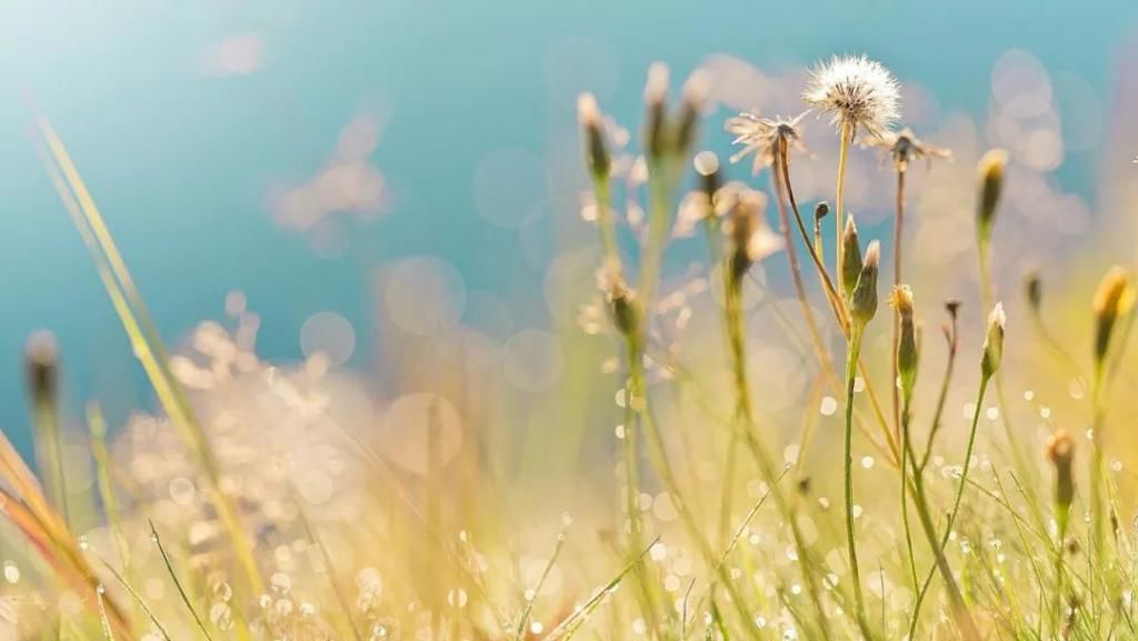  抑郁症|心理咨询：多年抑郁症的她，自我厌弃，如何疗愈？