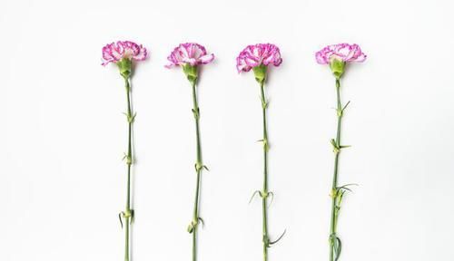 安静|安静也是一种心态（值得一读）