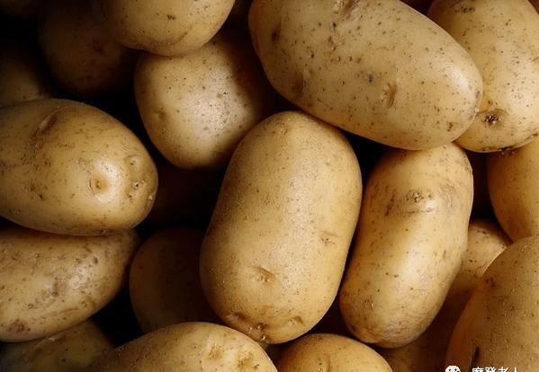  从不|菜农从不外说的15个挑菜技巧，买菜再也不怕被坑了