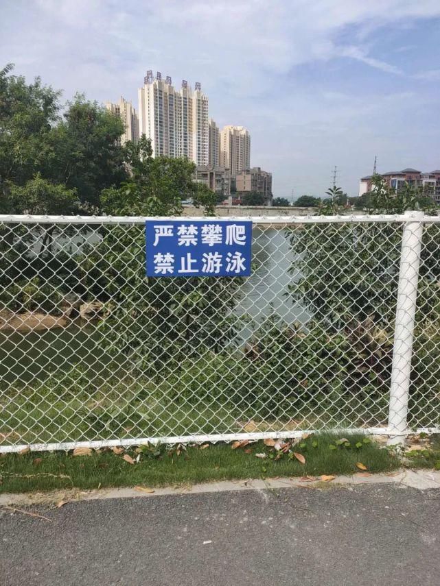  禁止|百色沙滩公园禁止游泳