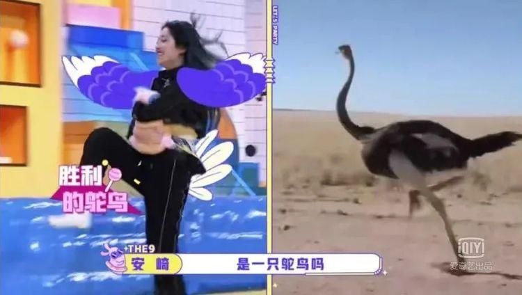  团综|第一次看到这样的团综，我对THE9真香了！