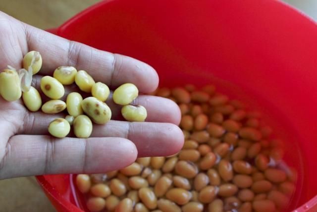  排骨汤|排骨汤怎么做才好喝？学会以下3点，轻松熬出神仙汤