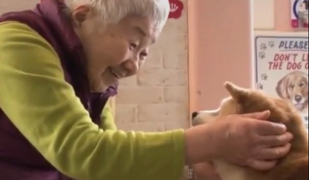  主人|19岁狗狗和主人都患上了“老年痴呆”，却在见面瞬间认出了彼此