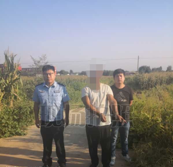 石家庄市行|涉案30余万元！4人跨省偷猪羊等牲畜，石家庄落网