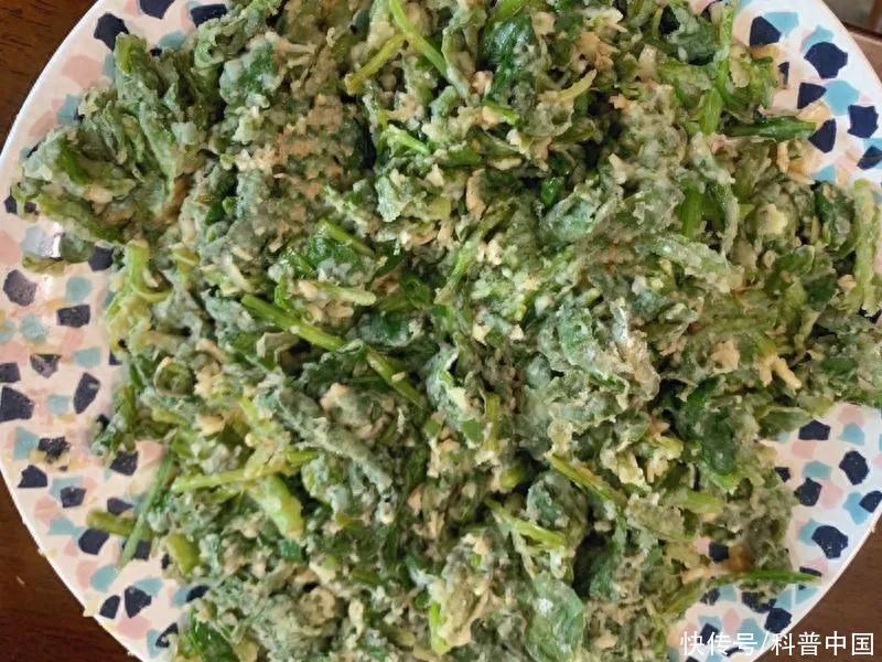 健康吃菜只会水煮？太难吃！这个做法让蔬菜好吃10000倍！2023