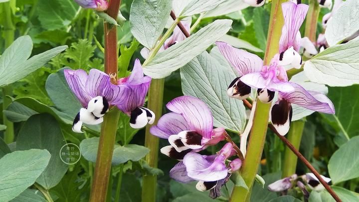 人品|做人是做事的根本，而做事能展示出人品