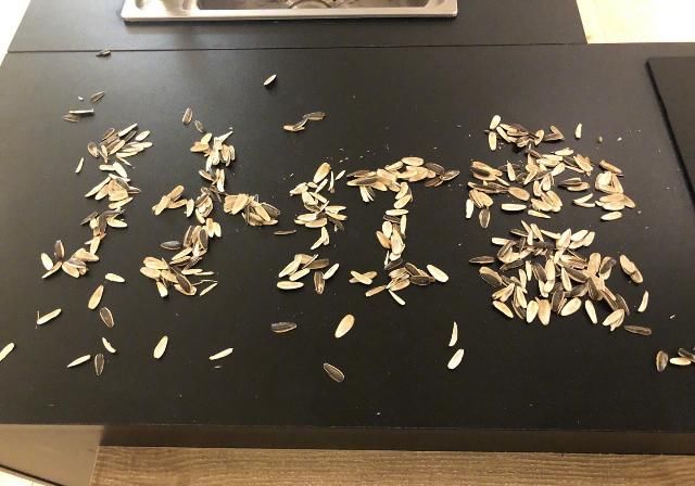  孙红雷|《这就是街舞》再现抢七大战，张艺兴cue孙红雷，黄渤惊喜加盟