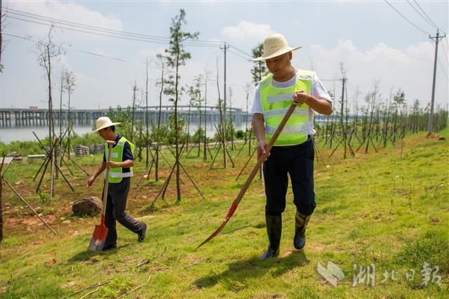 巡堤|烈日下，巡堤人坚守防汛一线（组图）