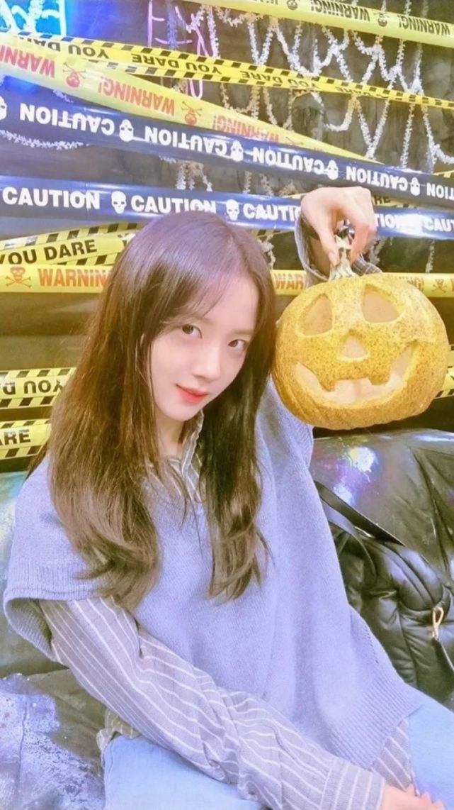 jisoo|『粉丝专属园』明星专辑|jisoo手机壁纸