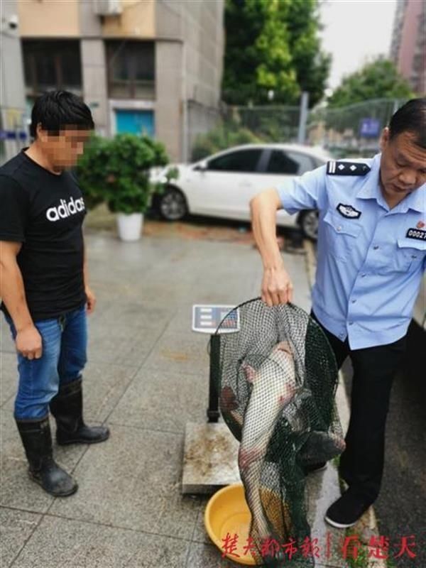  武汉|长江十年禁捕令刚颁布，仍有人以身试法下水捕野鱼