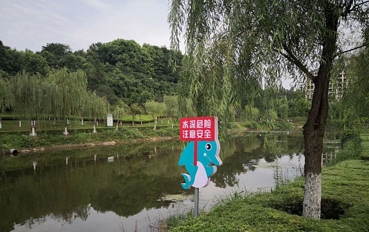 存有|珍爱生命，对大自然要存有敬畏之心