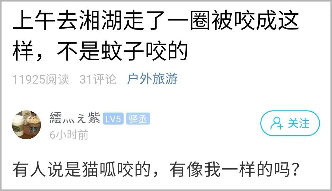  湘湖|杭州小伙去湘湖走了一圈，双腿被咬成这样！最近多人中招