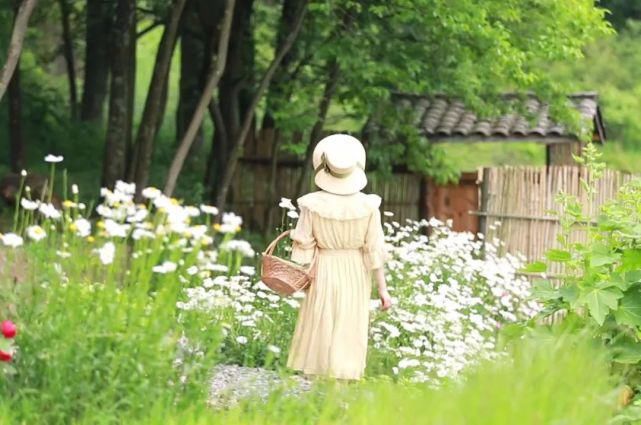  李子|她用3年时间爆改老宅，把荒地变花海：原来除了李子柒，我们还有另一种田园牧歌