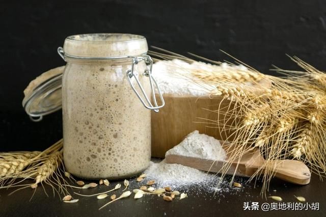  外国人|老面面包为什么更健康？外国人这么喜欢老面酸面包，原因很简单