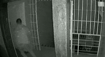 撂倒|华人男子与大批劫匪交火，叼着烟连开十枪，撂倒一人后叫警察洗地