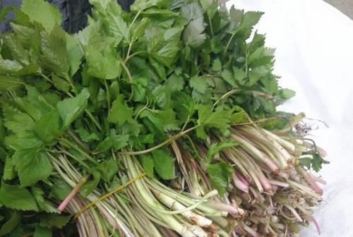 排宿|女性想要身材好,推荐多吃此食物,清肠毒,排宿便,令肌肤光滑细