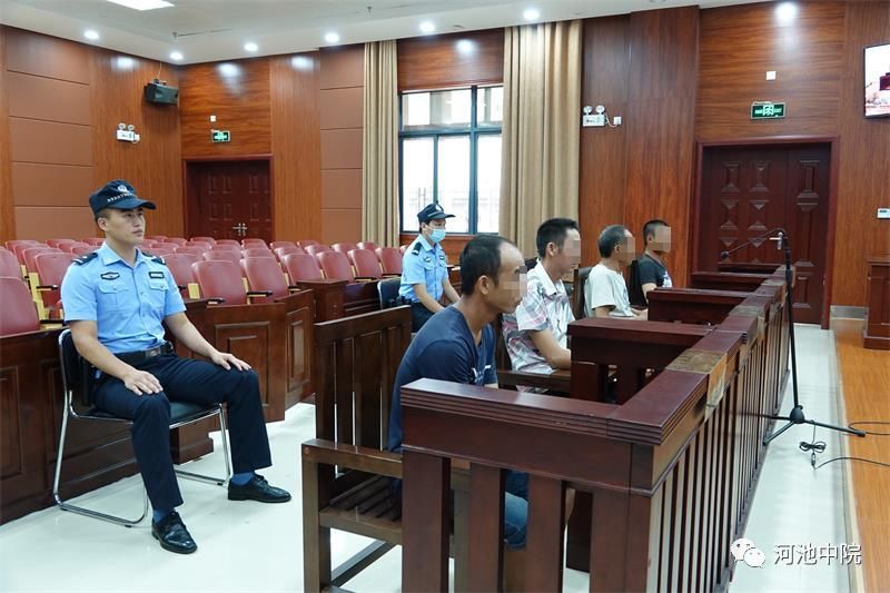  族自治区|说法 | 抓青蛙也犯法！环江4名男子抓了116只野生蛙被判刑