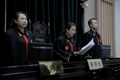  恶势力|定边县人民法院依法公开宣判杨某等人恶势力犯罪集团案件