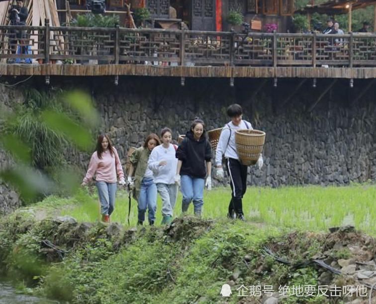 热播|《向往的生活》热播中,即将迎来谭松韵和任嘉伦,网友快播下期