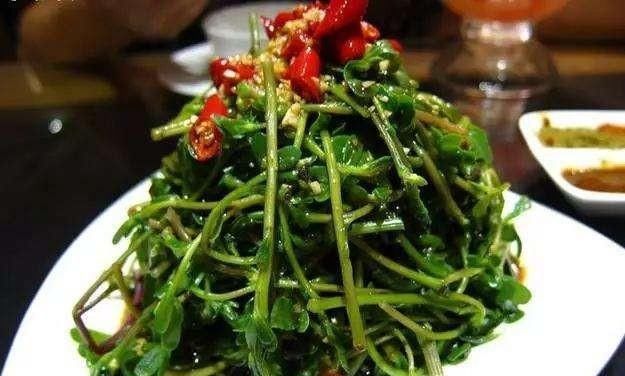 开胃|清脆爽口超下饭,开胃营养美味,一秒变餐桌上的抢手菜!