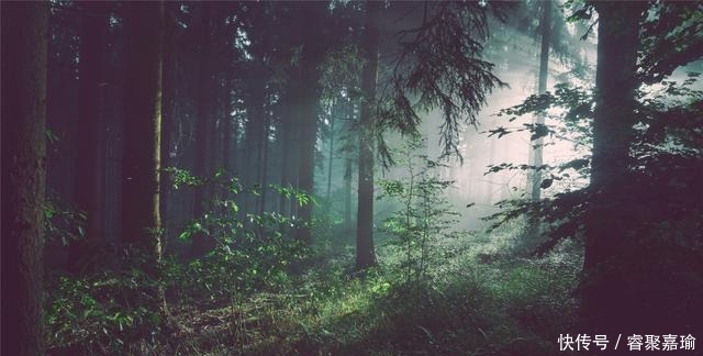 依旧没|落叶知秋来,思念随风走(深度好句)