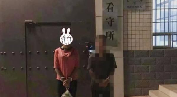 入学通知书|就凭一纸“录取通知书”，这个女人非法获利35万