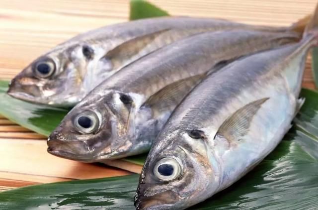 鱼类|三类鱼肉暗藏隐患，影响大脑发育不说还易受伤，科学吃鱼有妙招