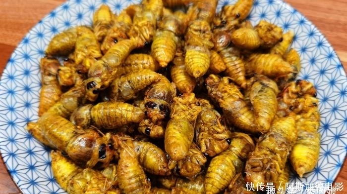 高蛋白|三伏天,宁可不吃肉,遇到此美味别手软,高营养高蛋白,别不懂吃