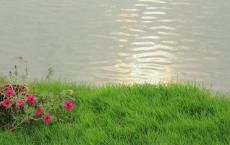  男尸|某海域漂浮着一具男尸，兜里装着不少现金