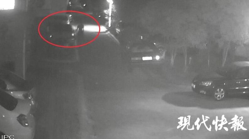  放在车内|偷到金项链还咬一口鉴定：没见过这么大的，怕是假的