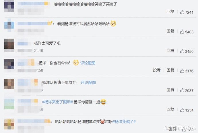  档综艺节目|《元气满满的哥哥》对战，王耀庆拍红杨洋手背，画面可怜又好笑