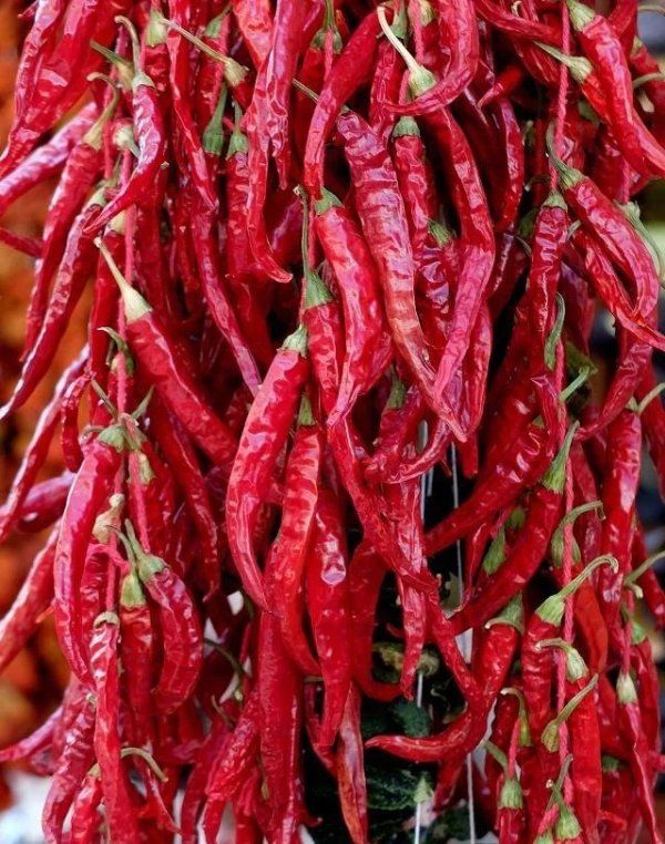  辣椒粉|饭店的辣椒油为什么那么香？大厨告诉你：少了这一样，香味少一半