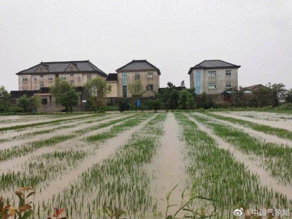 大暴雨|受今年4号台风黑格比 影响 浙江平湖市普遍出现特大暴雨