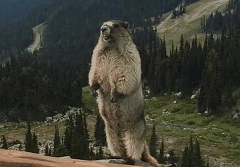  立交|只剩8分钟！发生在景渎立交下的这一幕！