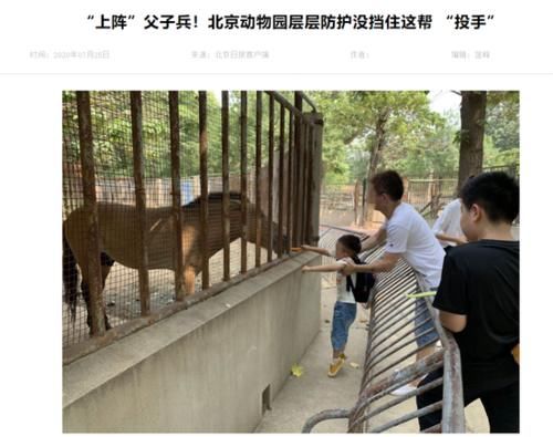 家长|这些家长带娃被登报批评！快看看你是否也干过？