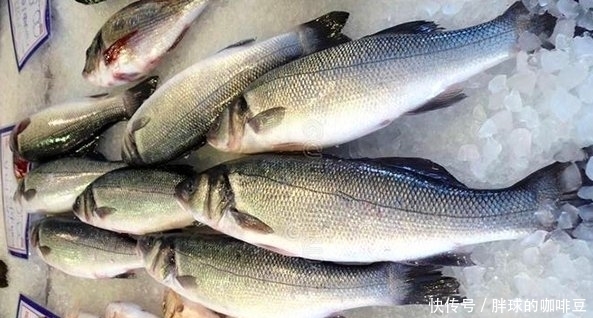 多亏|这4种鱼别再买了,家中有的话也别吃,多亏卖鱼大叔告诫