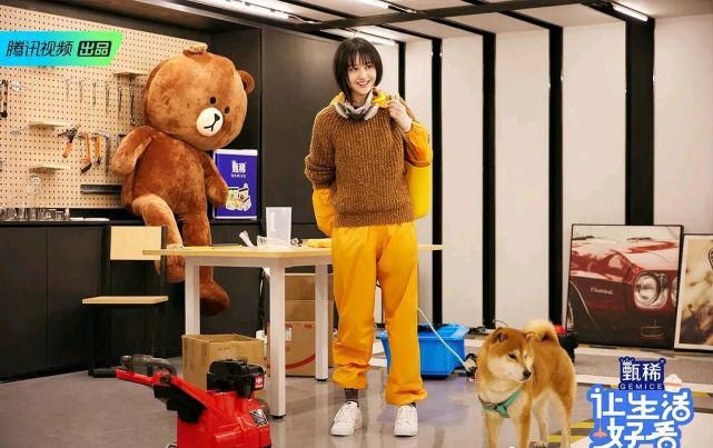  咖郑|连上八部综艺刷屏，影视咖郑爽这是要转型当综艺咖了？