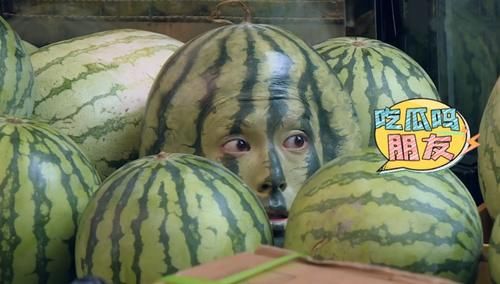  榜单|8月卫视综艺榜单 中餐厅不理想 跑男夺冠 芒果台两个新综艺是黑马