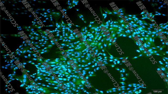 抑郁症患者|足以毁掉一个人的抑郁症