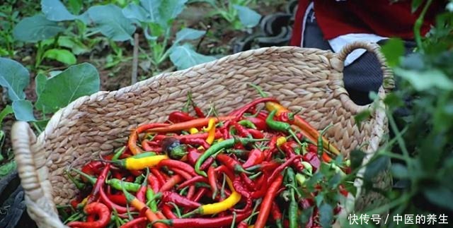 配料|李子柒做剁椒酱，看到配料里的“它”，网友这样真的好吃吗