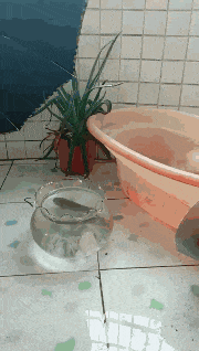 睡着|妹子,这可是学习的地方,躺在上面就睡着了,太不淑女了