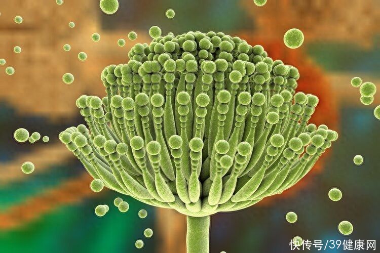 食物的致命毒素(“不到1克，就足以夺走100万人的生命？”毒素就藏在这些食物里)